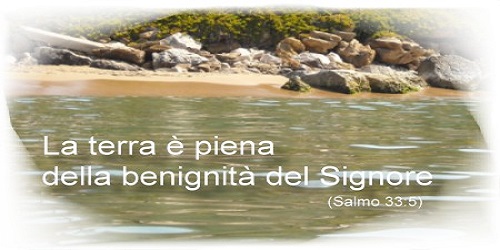 Immagine 1