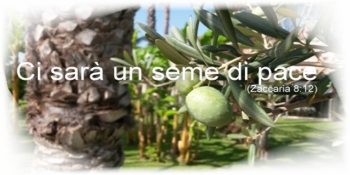 Immagine 1