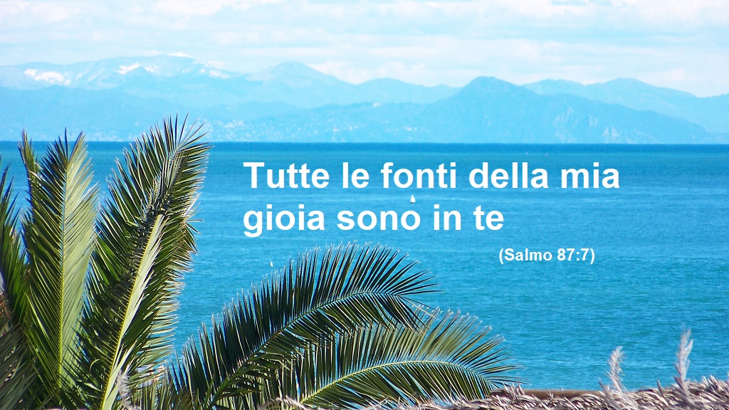 Immagine 1
