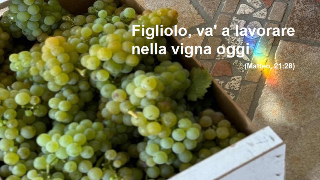 Immagine 1