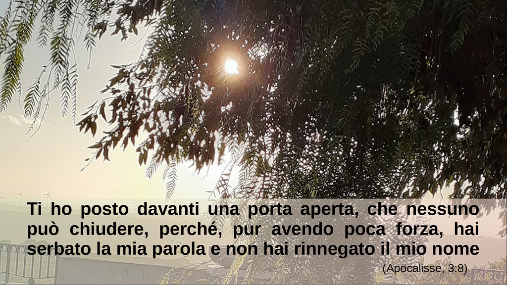 Immagine 1