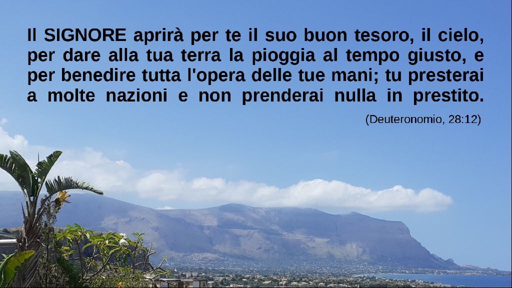 Immagine 1