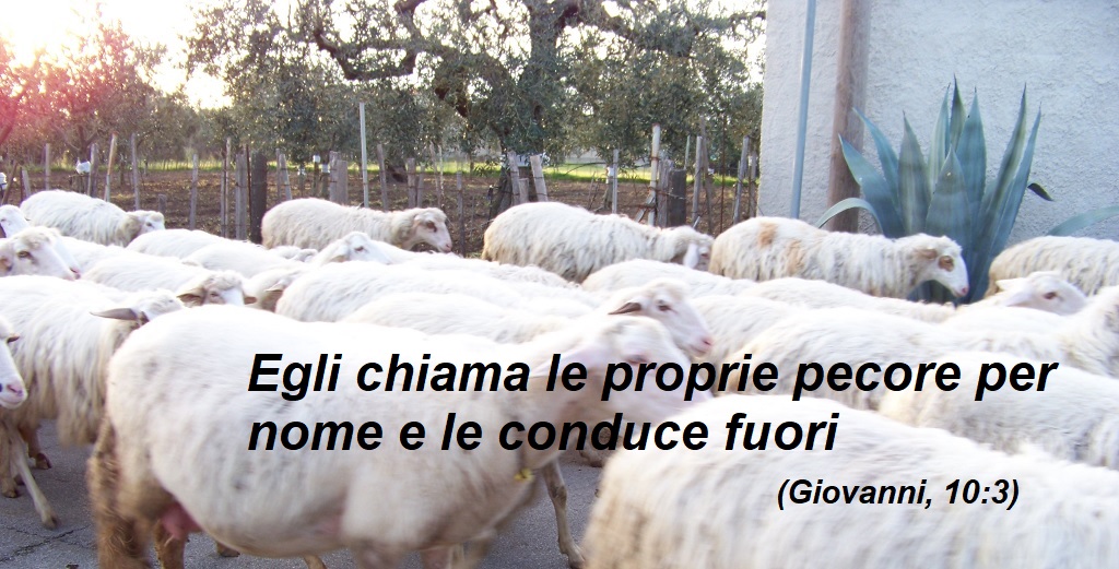 Immagine 1
