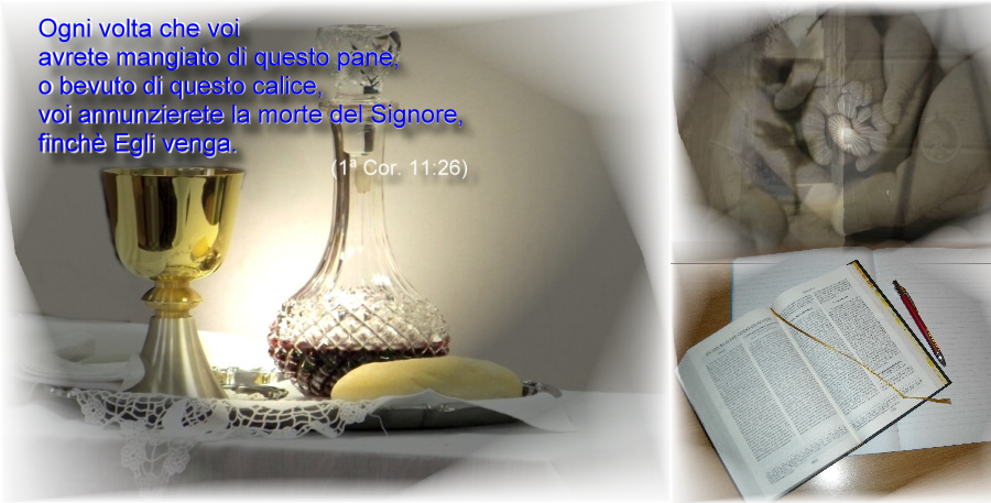 Immagine 1